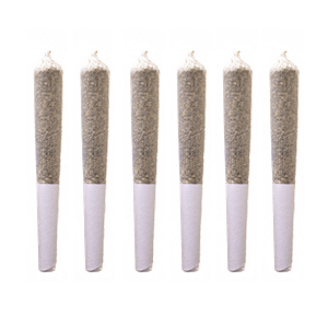 Station House  - Holiday Pre-Roll 6 Pack - 6x0.5g